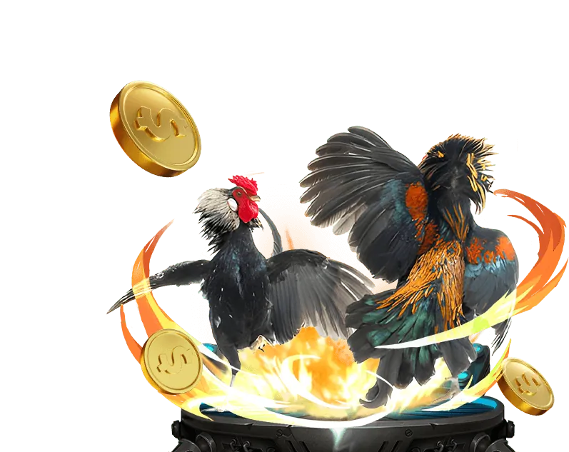 Đội ngũ bình luận viên đá gà chuyên nghiệp