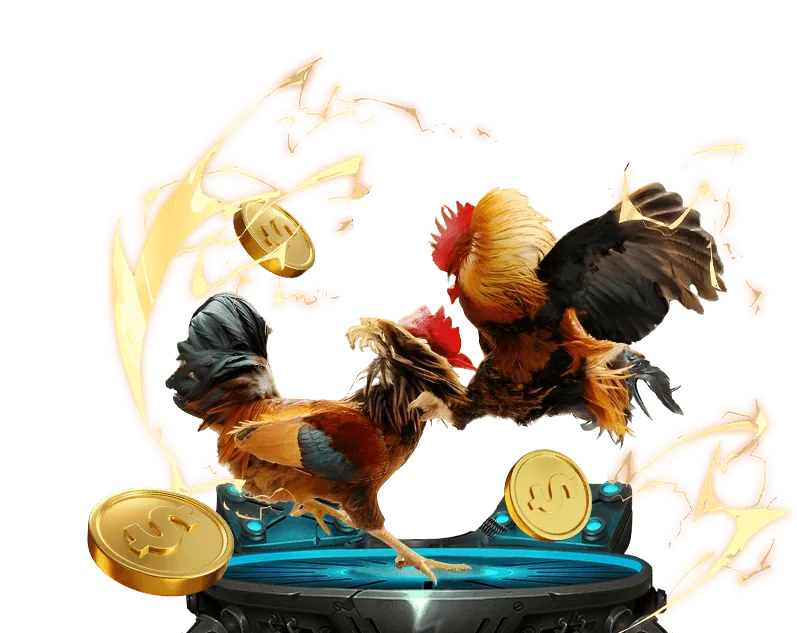 Hình ảnh đội ngũ Đá Gà VIP đang làm việc và phát triển nền tảng trực tuyến